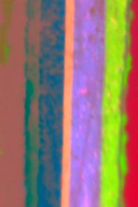 Processed image of a paint chip from a car showing layers